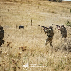 Карта бойових дій в Україні