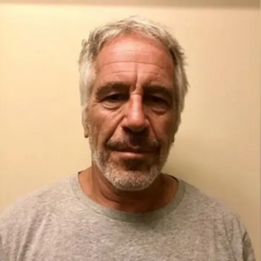 Epstein's list: over 300 well-known individuals