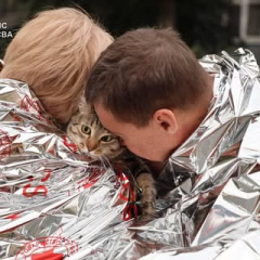 Слідства після удару по Києву