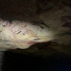 Human DNA on cave walls
