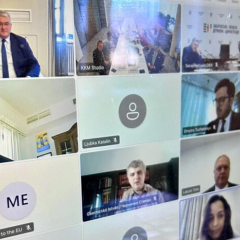 Ukraine and Hungary - expert consultations