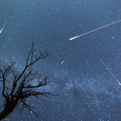 Comets in interstellar space