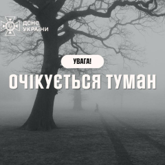 Туман у Києві 21 грудня