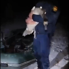 Лебеді, які примерзли до криги