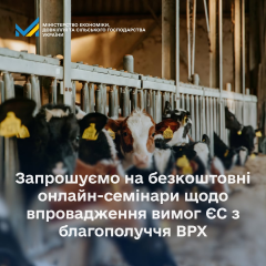 Фермери взаємодіють з худобою на семінарі