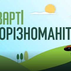 Ліси в Україні: важливість збереження біорізноманіття