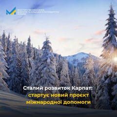 ООН и ЕС в Карпатах