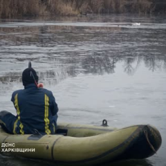 Спасатели освободили лебедя из рыбной сети