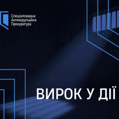 Сальніков почав відбувати покарання