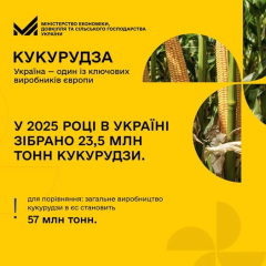 Рекордна врожайність зерна в Україні