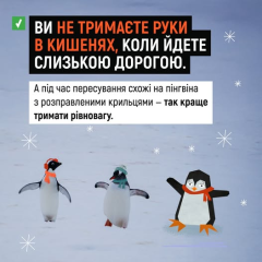 Пингвины - мастера безопасного шага по льду