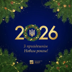 Фінансова стійкість України 2025