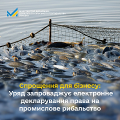 Лов риби для бізнесу в електронній декларації