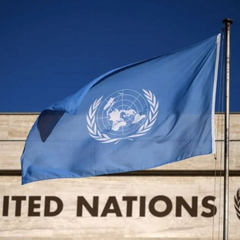 Українські біженці в ООН