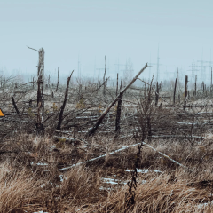 Radioactive particles in Chernobyl