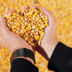 Ukrainian farm Flora supported by ARISE