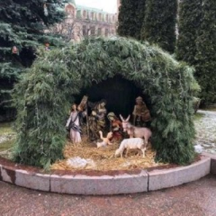 В Кропивницком украли ягня и корову