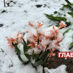 Снегопад в Украине в апреле