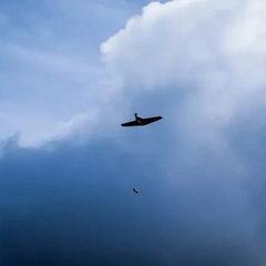 Український безпілотний «бомбер» в дії