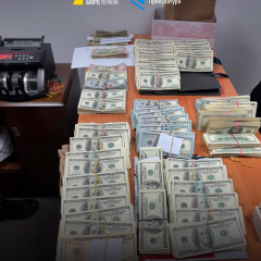 Money at 'Lutsk' customs: search details