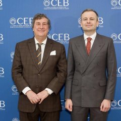 Ukraine and the Council of Europe Development Bank prepare new initiatives