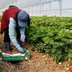 Українських учителів їдуть до Польщі