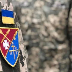 Письменниця звинуватила ТЦК у побитті