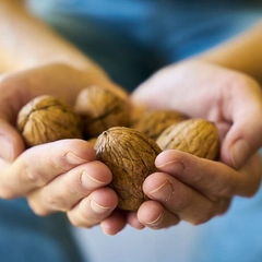 Яскраві листівки на Горіховий Спас