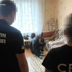 Задержанная женщина в связи с мошенничеством