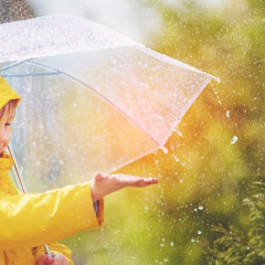 Мапа з прогнозом дощів в Україні