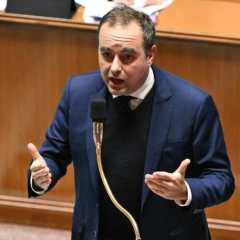 Французькі Зелені голосують за вовтум недовіри