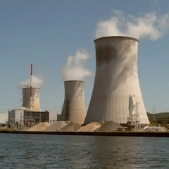 Атомна станція Франції зупинена через медуз