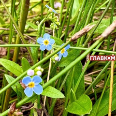 Погода без опадів на 30 серпня