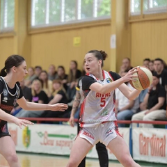 Дев'ять команд у Вищій жіночій лізі