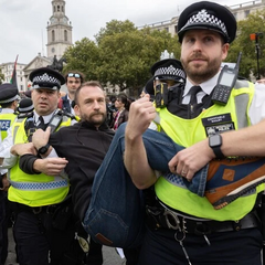 Поліція арештувала учасників протесту в Лондоні