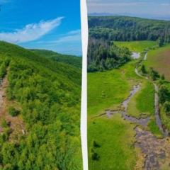 Віртуальна подорож на край Зачарованого краю