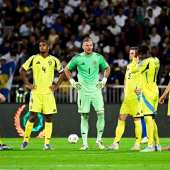 Match Ukraine – Sweden, opponent