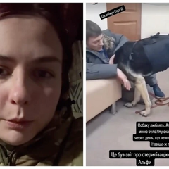 Собаку не отдали волонтерам