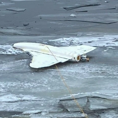 Уламки ворожого БпЛА на кризі