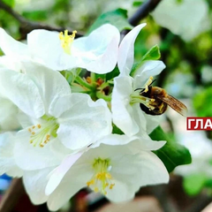 Прогноз погоди на 9 травня