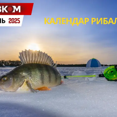 Риболовля у грудні 2025: кращий час