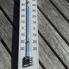 Температура до +38°C на Закарпатье
