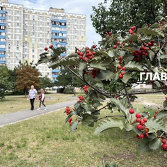 Хмарно без опадів 21 вересня 2025