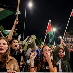 Протесты в поддержку флотилии против Израиля