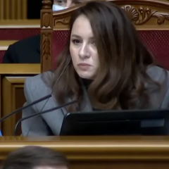 Правительство не подаст законопроект о НДС для ФЛП