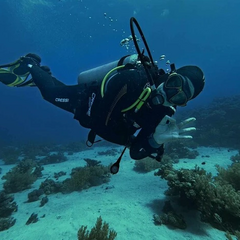 Дайвер на фоне моря