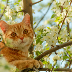 Замороженный ландшафт сменится весенним теплом