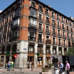 Скорбота у жителя Європи з синьою спинкою