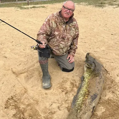 Сом-рекордсмен, пойманный на Винничине