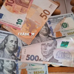 USD rate at 44 hryvnias